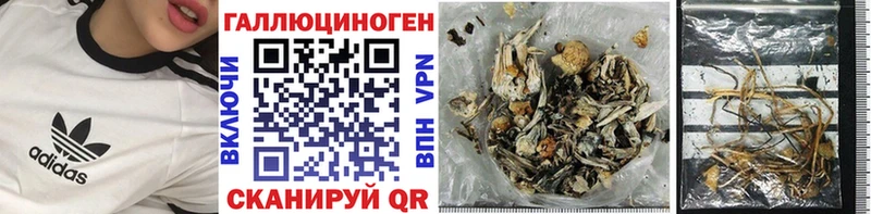 Галлюциногенные грибы Magic Shrooms  Вологда 