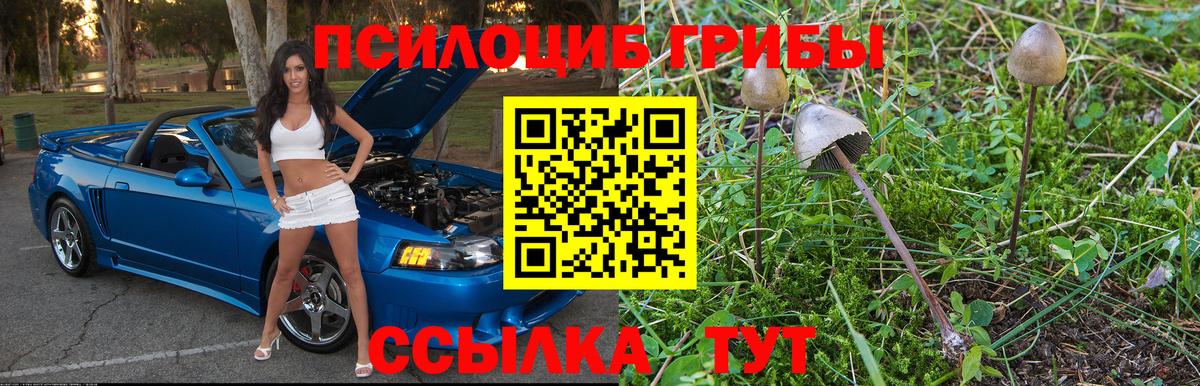 Вологда  Галлюциногенные грибы Magic Shrooms  Вход с VPN 